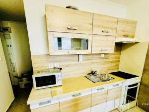 Prodej bytu 1+1, Teplice - Trnovany, Maršovská, 41 m2