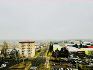 Prodej bytu 1+1, Teplice - Trnovany, Maršovská, 41 m2