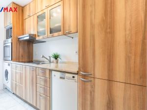 Pronájem bytu 3+kk, Litvínov - Horní Litvínov, U Zámeckého parku, 58 m2