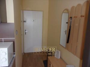 Pronájem bytu 1+1, Teplice, Palackého, 35 m2