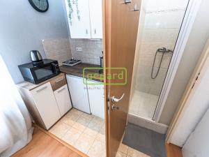 Pronájem bytu 1+kk, Praha, U kombinátu, 19 m2