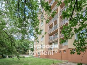 Prodej bytu 3+1, Plzeň - Východní Předměstí, Habrová, 72 m2