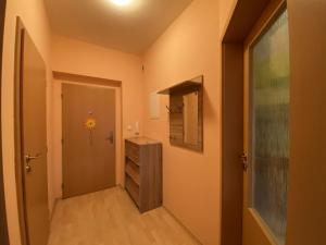 Pronájem bytu 2+kk, Hradec Králové - Třebeš, Svatojánská, 30 m2