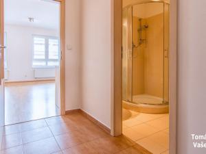 Pronájem bytu 1+kk, Hradec Králové, Wonkova, 31 m2