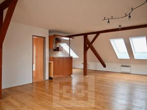 Pronájem bytu 1+kk, Vyškov, 50 m2