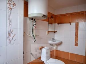 Pronájem bytu 1+kk, Vyškov, 50 m2