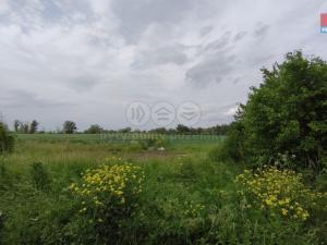 Prodej rodinného domu, Krásný Dvůr - Zlovědice, 440 m2