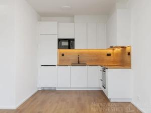 Pronájem bytu 2+kk, Praha - Nusle, Závišova, 54 m2