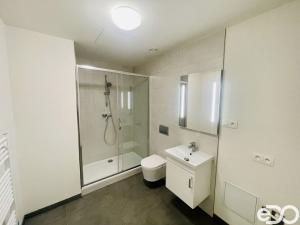 Pronájem bytu 2+kk, Praha - Smíchov, Svornosti, 50 m2