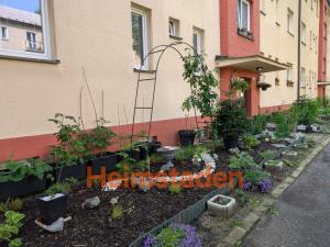 Pronájem bytu 2+kk, Havířov - Šumbark, U Nádraží, 37 m2