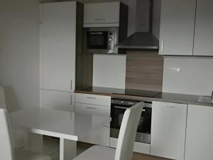 Pronájem bytu 2+kk, Plzeň, U Velkého rybníka, 58 m2