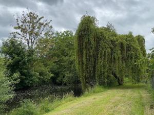 Prodej rodinného domu, Znojmo, 140 m2