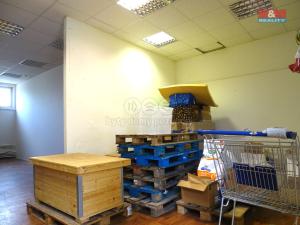 Pronájem skladu, Davle - Sázava, Jílovská, 44 m2