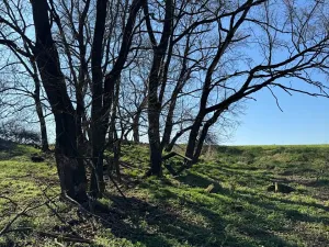 Prodej pozemku, Jevišovice, 7710 m2