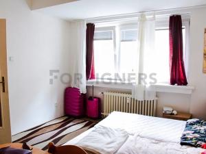 Pronájem bytu 1+kk, Brno, Mezírka, 27 m2