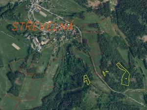 Dražba lesa, Železný Brod, 12622 m2