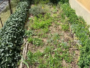 Prodej chalupy, Svojanov, 100 m2