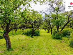 Prodej komerčního pozemku, Židlochovice, 3876 m2