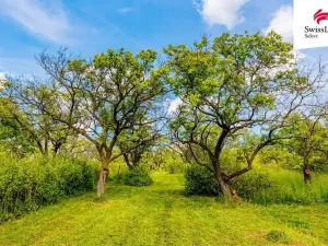 Prodej komerčního pozemku, Židlochovice, 3876 m2