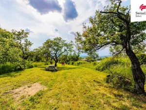 Prodej komerčního pozemku, Židlochovice, 3876 m2