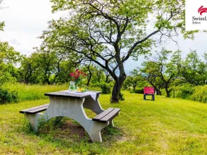 Prodej komerčního pozemku, Židlochovice, 3876 m2
