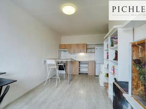 Prodej bytu 1+1, Plzeň, Brněnská, 34 m2