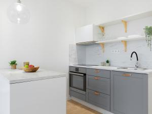 Pronájem bytu 1+kk, Ostrava - Mariánské Hory, Korunní, 22 m2