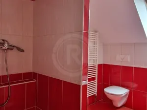 Pronájem bytu 3+kk, České Budějovice, Dukelská, 107 m2