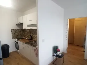 Pronájem bytu 2+kk, Příbram, Slunná, 46 m2