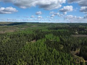 Prodej rodinného domu, Pavlíkov, 436 m2