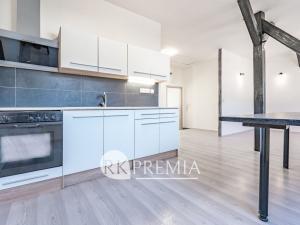 Prodej vícegeneračního domu, Ústí nad Labem - Krásné Březno, Drážďanská, 534 m2