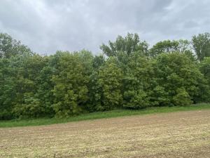 Prodej pozemku, Podolí, 380 m2