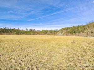 Prodej louky, Vlastějovice, Vlastějovice, 13479 m2