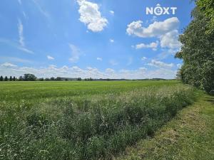 Pronájem bytu 3+1, Přelouč, náměstí 17. listopadu, 81 m2