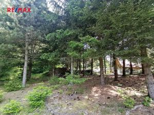 Prodej pozemku pro bydlení, Borušov, 1308 m2