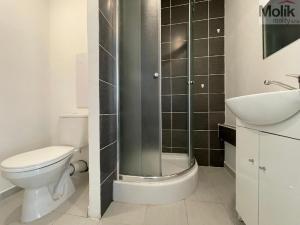 Pronájem bytu 1+kk, Litvínov - Horní Litvínov, Tylova, 27 m2