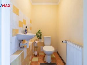 Prodej rodinného domu, Lom, Komenského, 300 m2