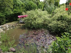 Prodej pozemku pro bydlení, Radčice, 1736 m2