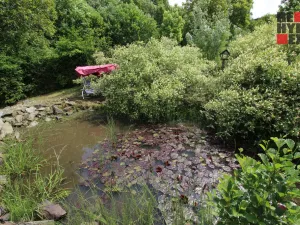 Prodej pozemku pro bydlení, Radčice, 1736 m2