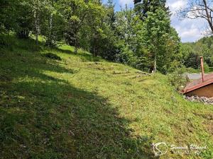 Prodej rodinného domu, Lučany nad Nisou, 92 m2