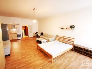 Pronájem bytu 1+kk, Jihlava, Srázná, 52 m2