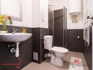 Prodej bytu 1+kk, Ostrava - Přívoz, Palackého, 31 m2