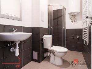Prodej bytu 1+kk, Ostrava - Přívoz, Palackého, 31 m2