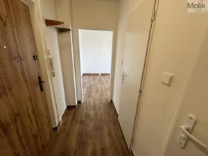 Pronájem bytu 1+1, Most, Javorová, 34 m2