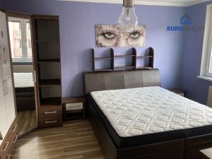 Pronájem bytu 1+1, Cheb, Mírová, 35 m2