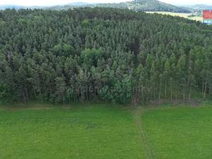 Prodej lesa, Chotilsko - Prostřední Lhota, 3372 m2