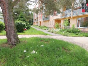 Prodej bytu 4+1, Stráž pod Ralskem, Hornická, 94 m2