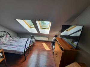 Prodej bytu 2+kk, Brno, Antonínská, 65 m2