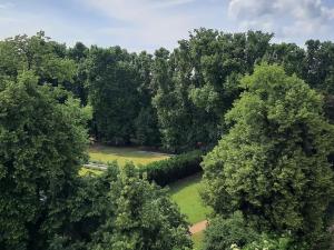 Prodej bytu 2+kk, Brno, Antonínská, 65 m2
