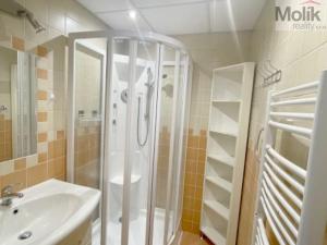 Pronájem bytu 3+1, Meziboří, Mládežnická, 72 m2
